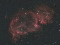 Illustration de la galerie