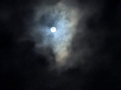 Illustration de la galerie